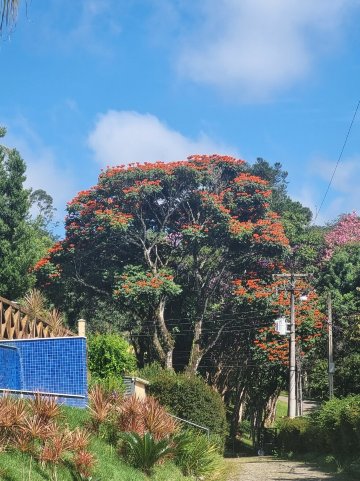 Matiz Resort Igaratá Spa e Eventos-官方