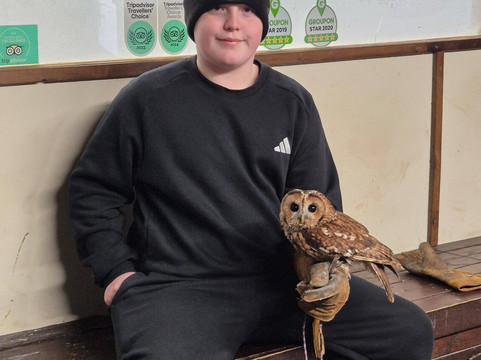 Riverside Falconry-纽卡斯尔必去景点