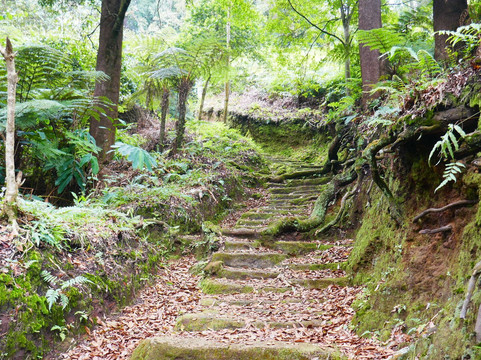 Domas Crater-连旺必去景点