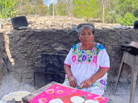 Tours by Russel Progreso yucatan-Chelem必去景点