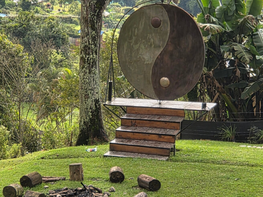 Zen Oasis Del Bosque