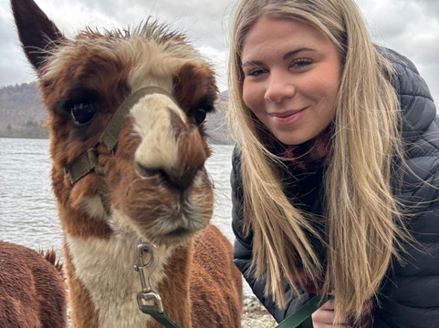 Alpacaly Ever After-Portinscale必去景点