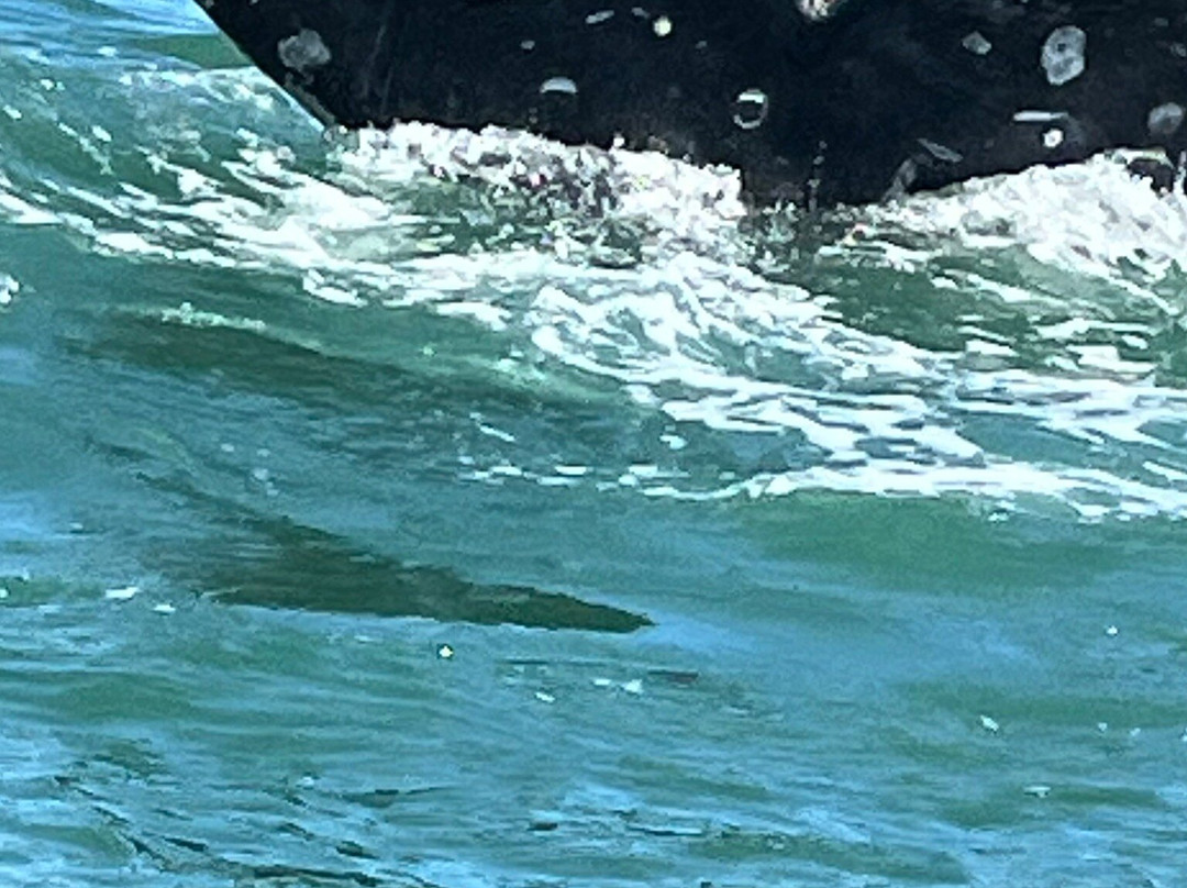 Sea and Adventures-拉巴斯必去景点