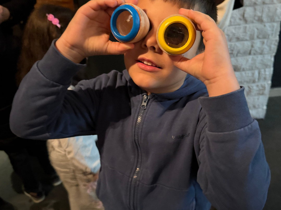 Bee Museum-诺帕克特斯必去景点