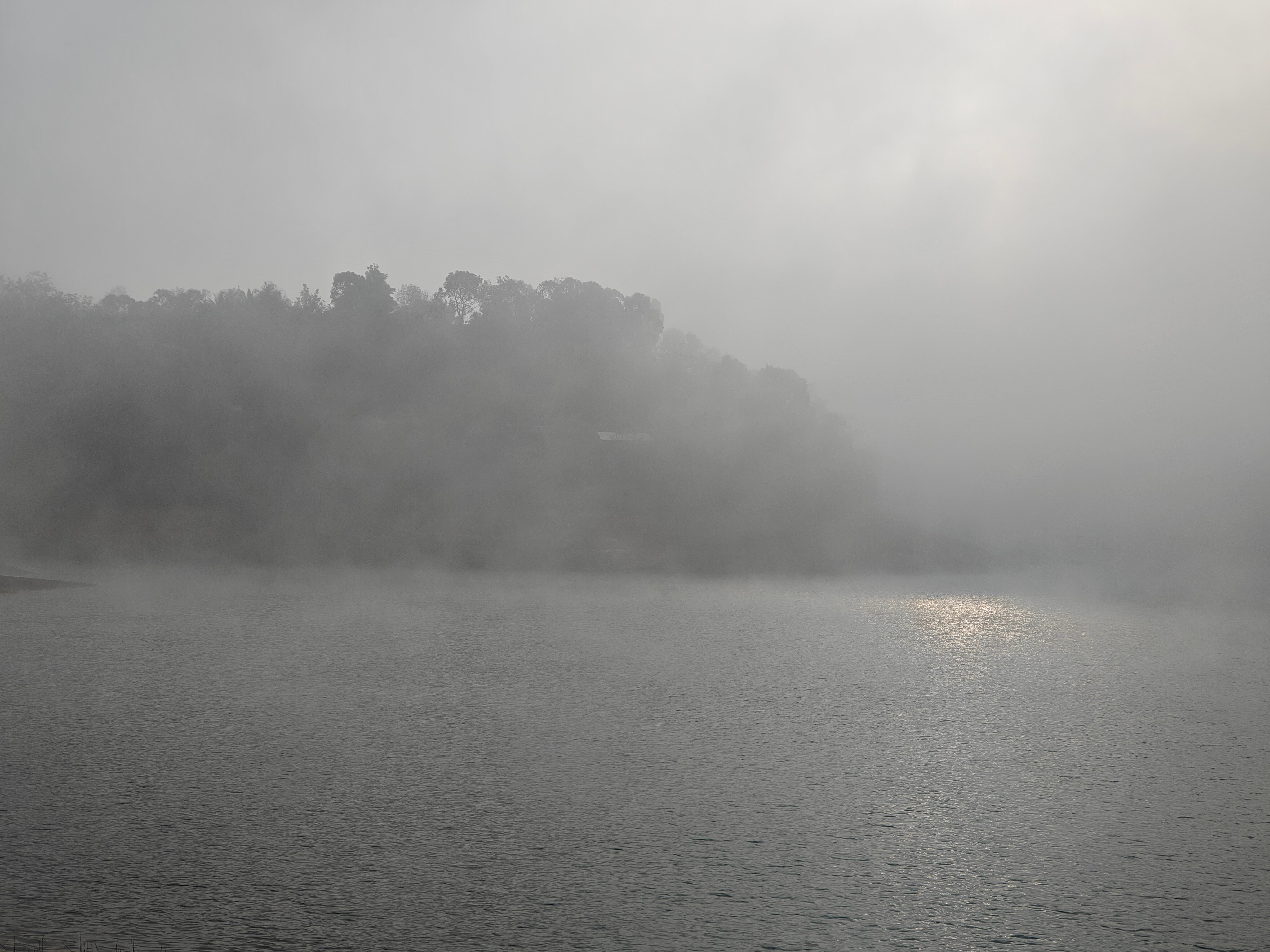 瓦亚纳德银树林酒店-官方