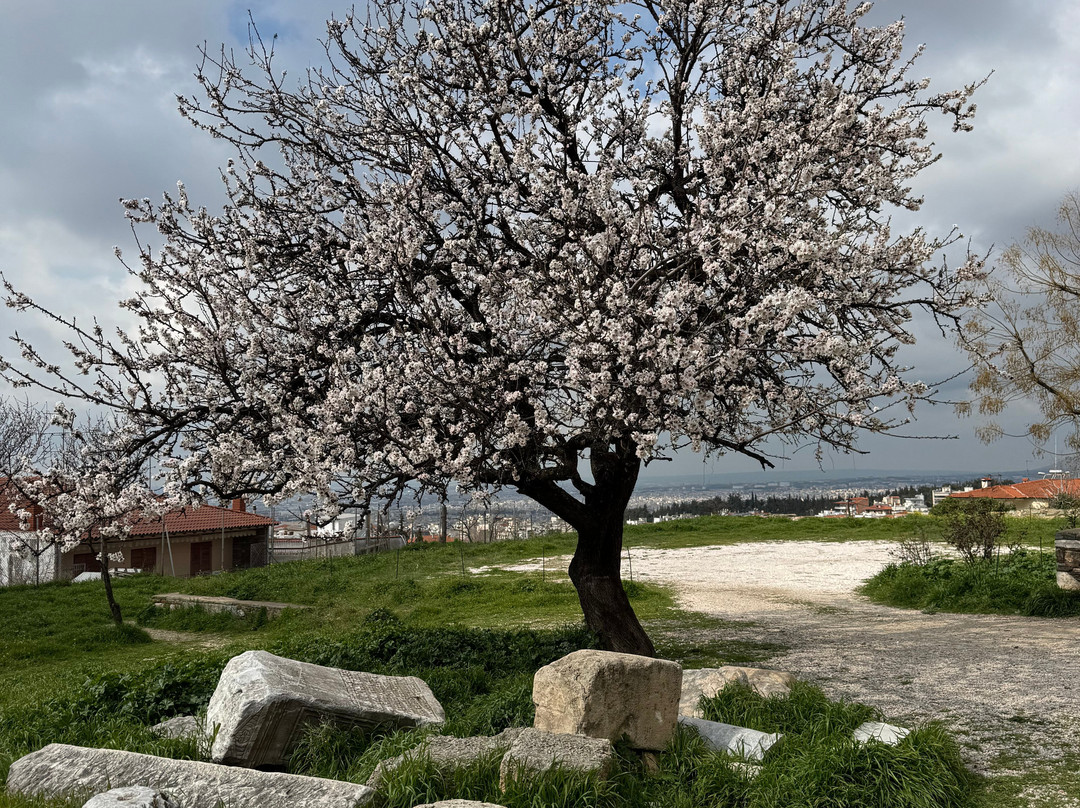 Let's Meet In Thessaloniki-塞萨洛尼基必去景点