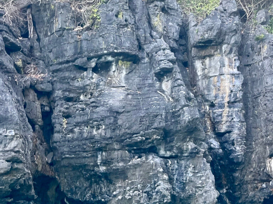 Wave Quest Watersport-中央海滩必去景点