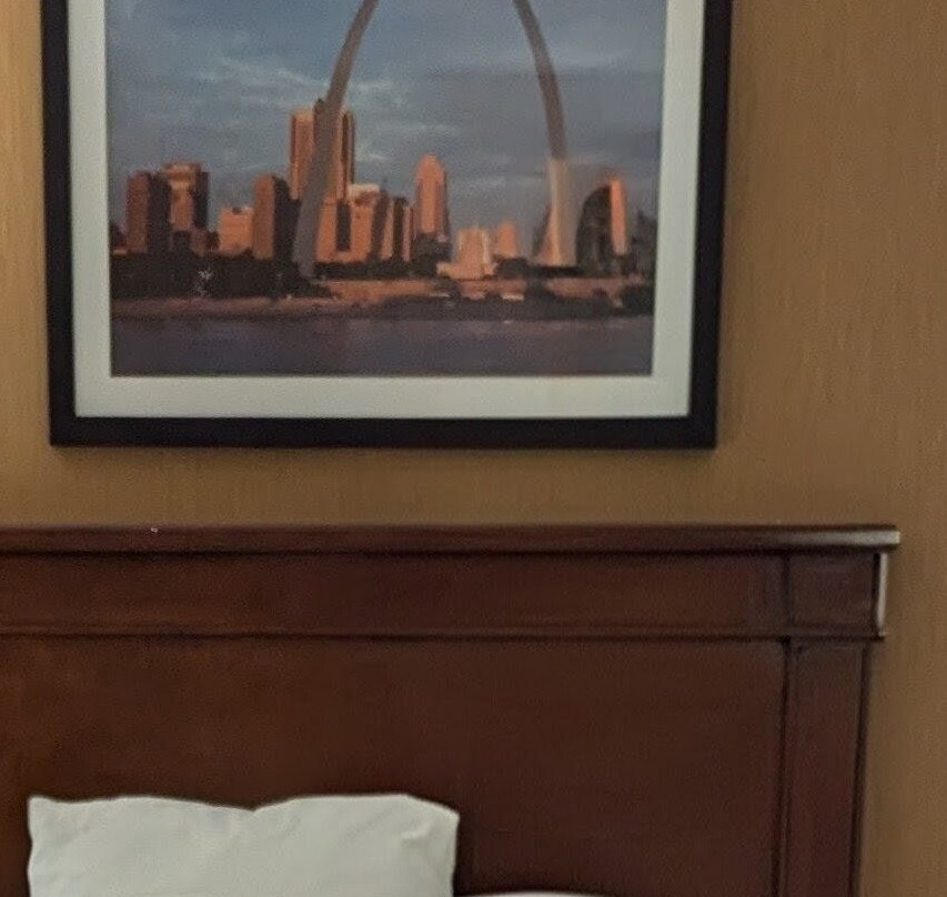 圣路易斯-近森林公园德鲁里套房酒店主图