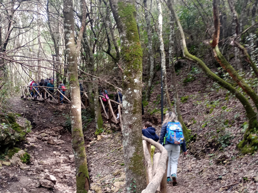 Associazione Culturale De Lacòn - Visite Guidate-Laconi必去景点