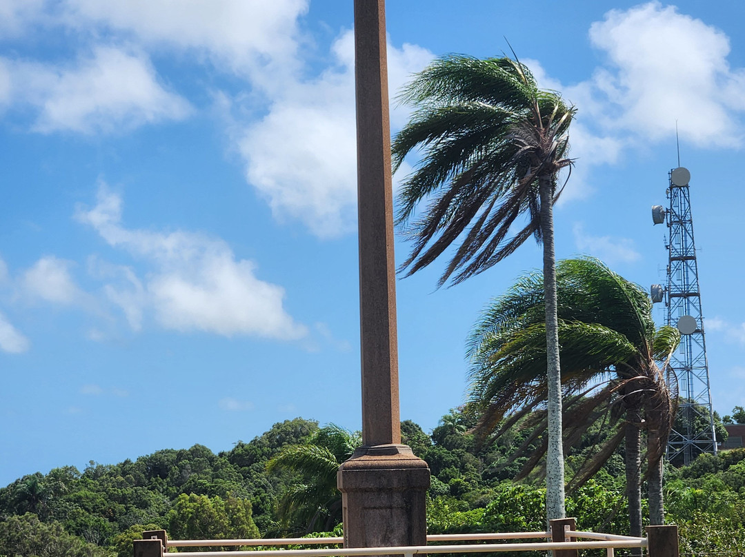 Hummock Lookout-邦德堡必去景点