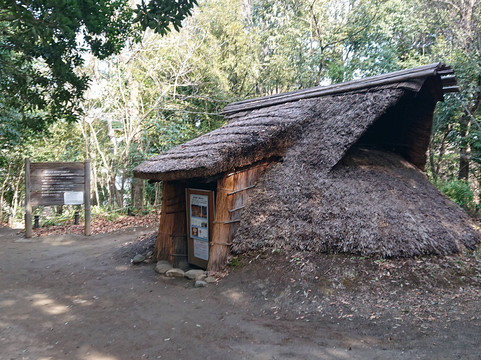 Tokyo Metropolitan Archaeological Center-多摩市必去景点