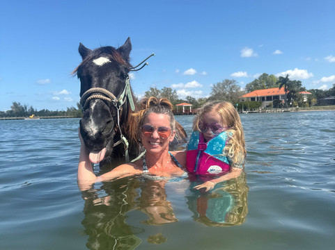 Florida Beach Horses-布雷登顿必去景点