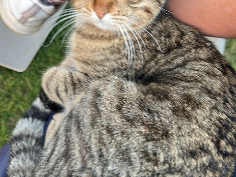 Lykia Links Golf-安塔利亚必去景点