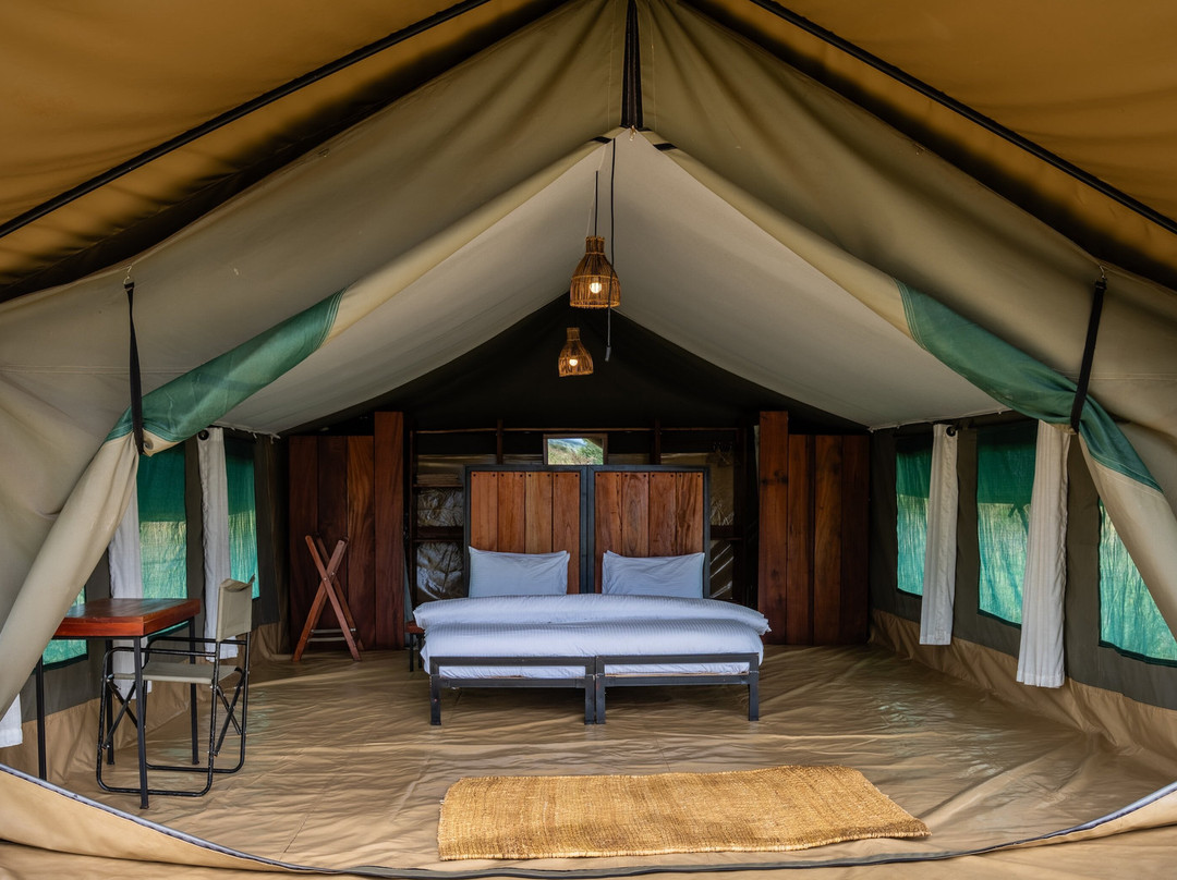 Kimbilio Serengeti Camp主图