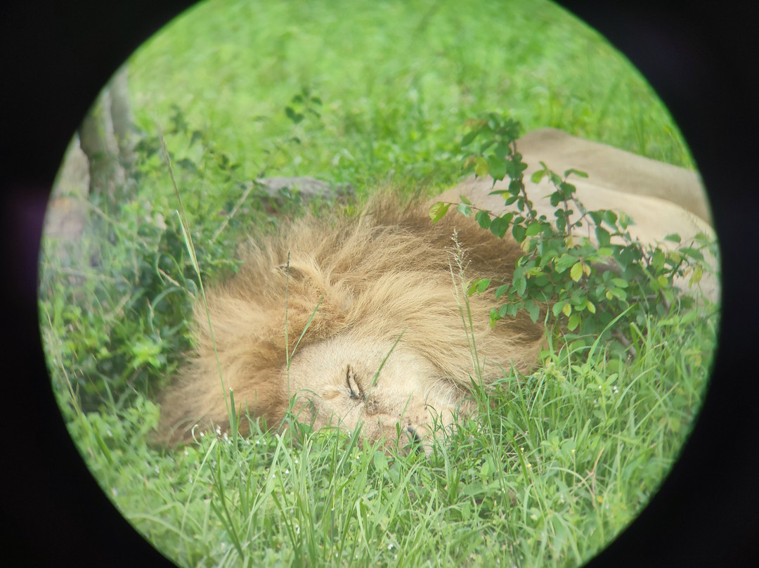 Chacal Expeditions - Day Tours-蒙巴萨必去景点