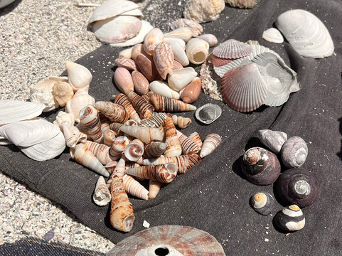 Playa Las Machas-Bahia Inglesa必去景点