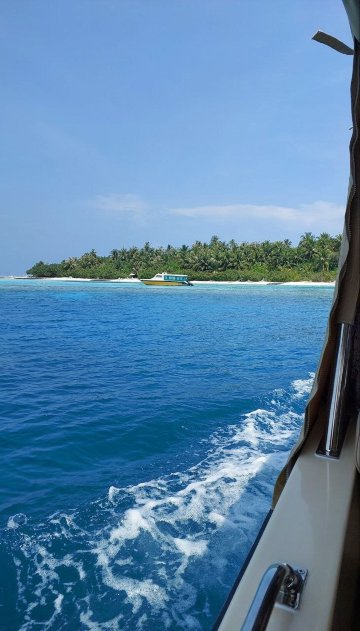 艾布度乡村度假村-泳池