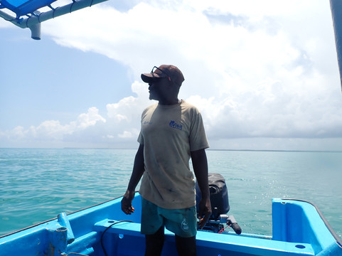 Afro Whale Shark Safari-马菲亚岛必去景点