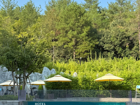 安吉英迪格酒店主图