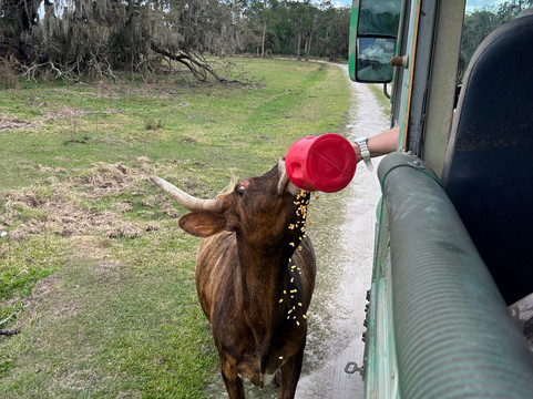 Babcock Ranch Preserve-蓬塔戈尔达必去景点