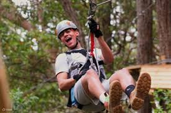 TreeTop Challenge-Woombye必去景点