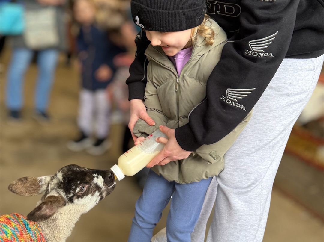 Whitehouse Farm Centre-莫佩思必去景点