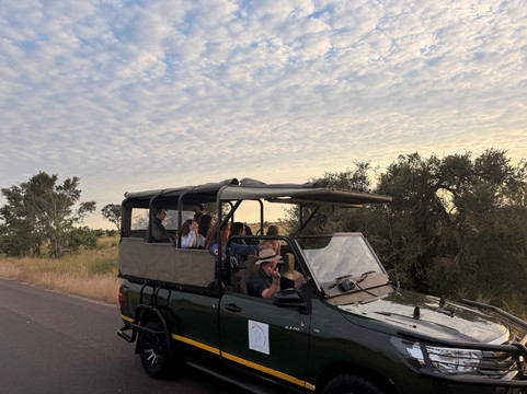 The Other Animals Safaris-克鲁格国家公园必去景点