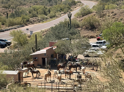 Cave Creek Trail Rides-洞溪必去景点