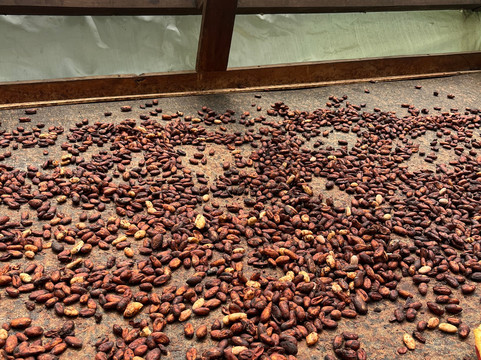 Finca la Alejandra-Montenegro必去景点