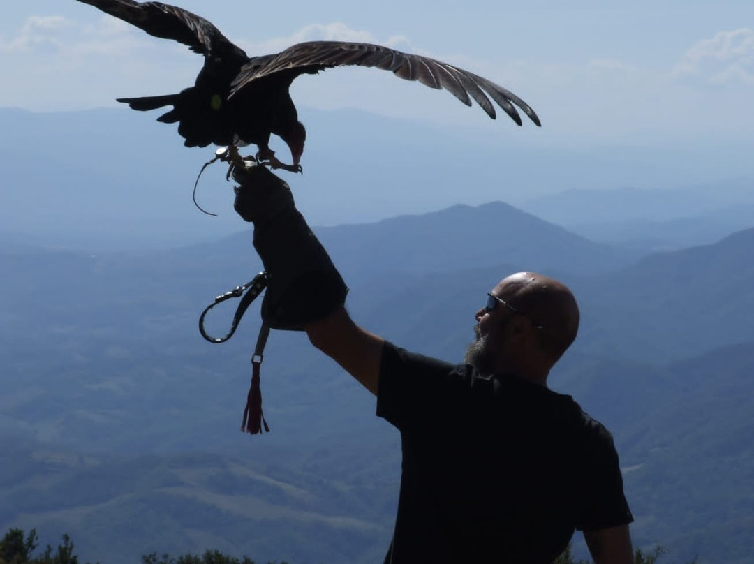 Wild World-Porto Potenza Picena必去景点