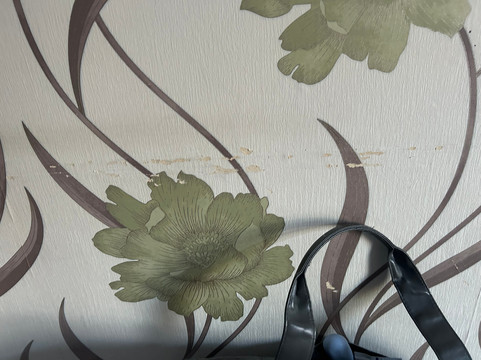 曼斯菲尔德松林旅馆及餐厅主图