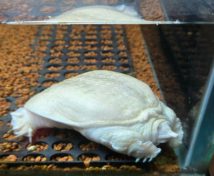 Fundera Park-Yelagiri必去景点