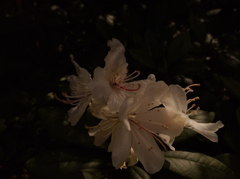 Daisetsuzan National Park-北海道必去景点