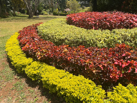 Royal Botanic Gardens Peradeniya-康提必去景点
