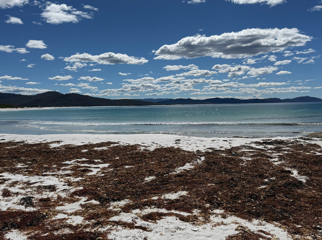 ALL4-科尔斯湾必去景点