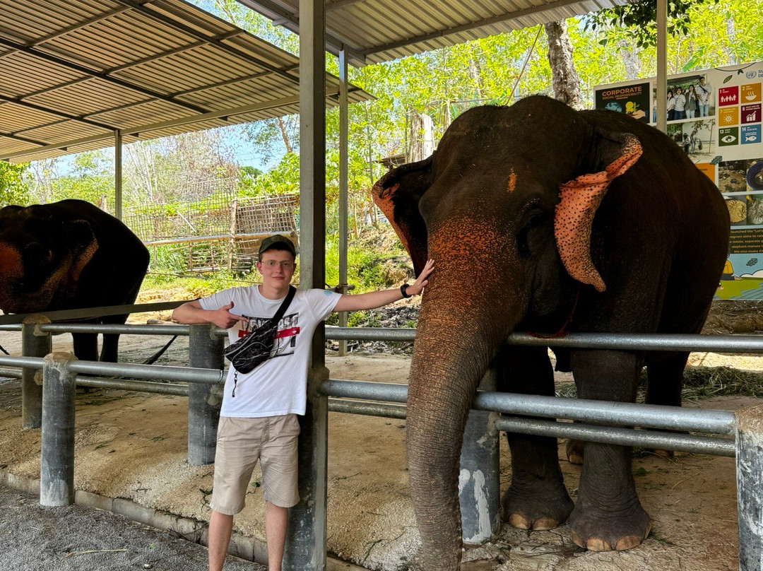 Phuket Elephant Care-奈通必去景点