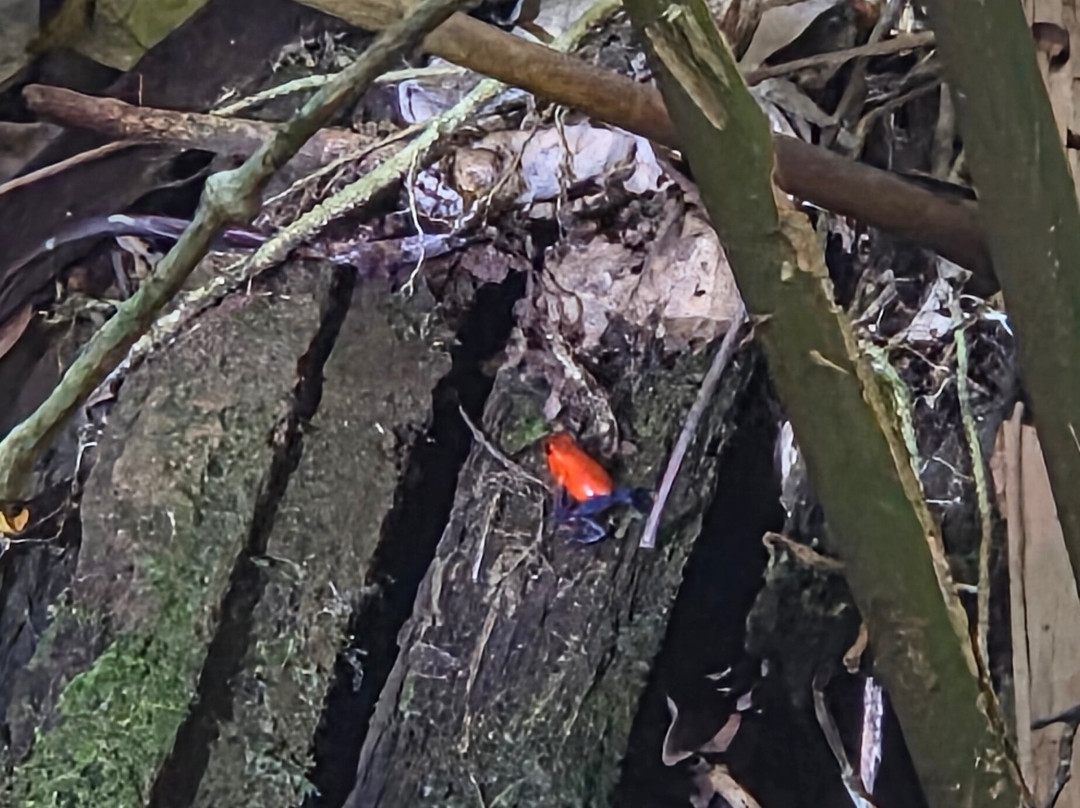 Amstar DMC-利比里亚必去景点