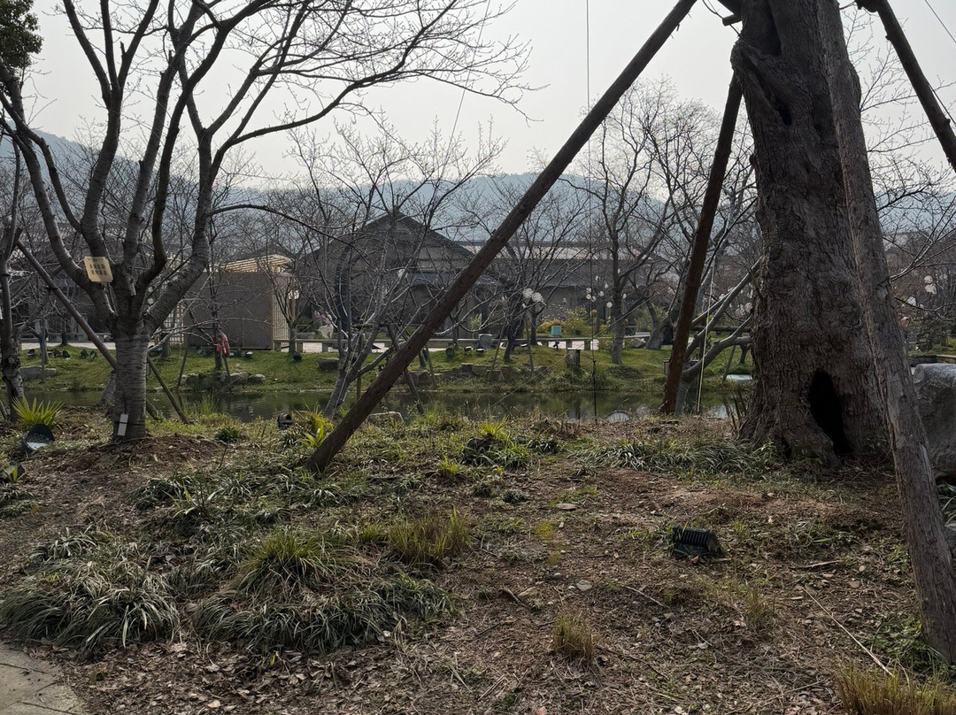 拈花湾-无锡市必去景点