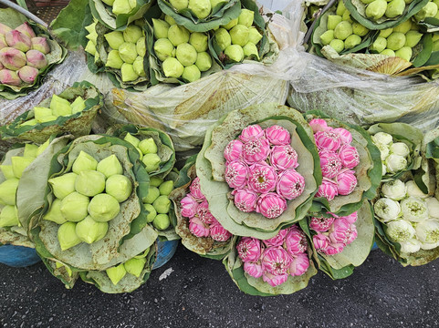 Bengitours-曼谷必去景点