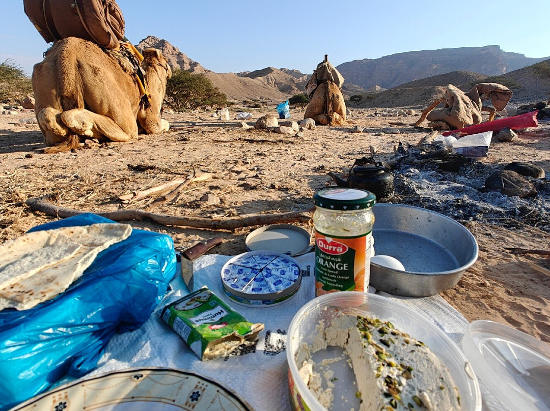 Jordan Trail Guide-佩特拉必去景点