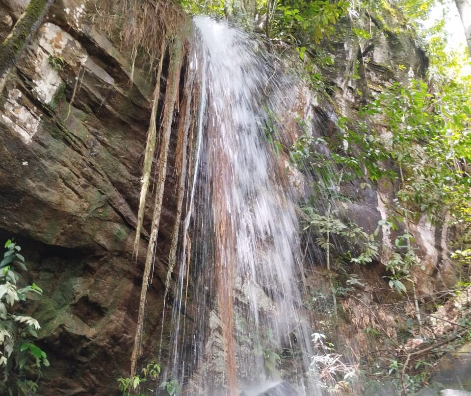 Nascentes do Rio Taquari State Park-Costa Rica必去景点