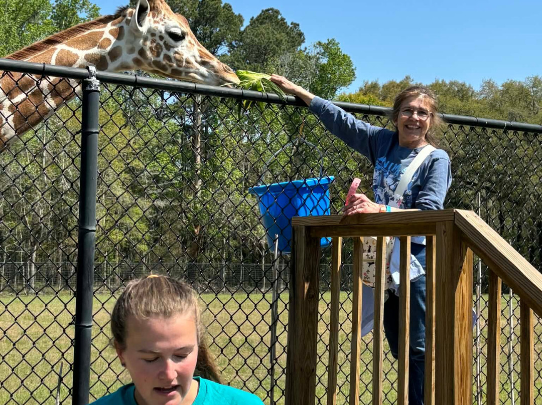 Carson Springs Wildlife Conservation Foundation-盖恩斯维尔必去景点