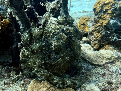 Native Spirit Scuba-Grand Anse必去景点