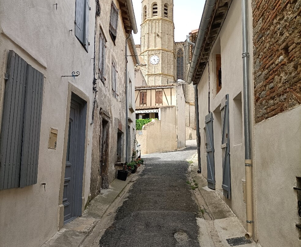 Collégiale Saint-Vincent-Montreal必去景点