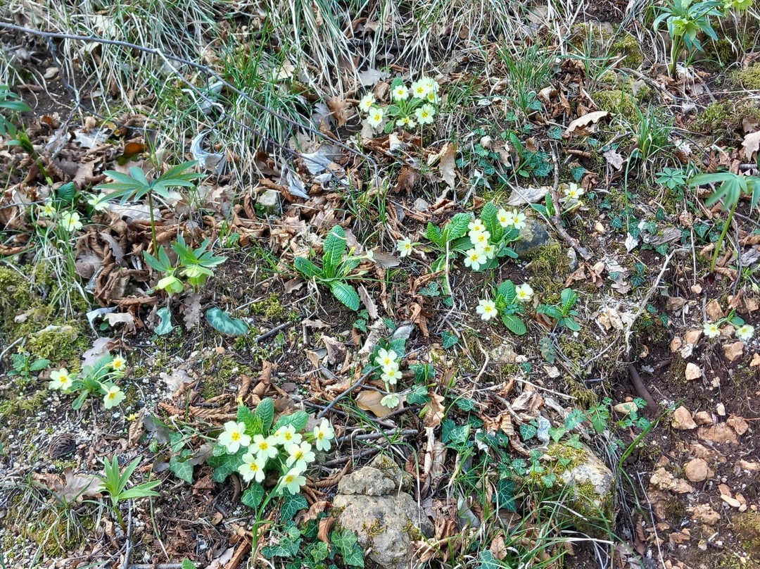 Sentiero dei poeti-Monrupino必去景点