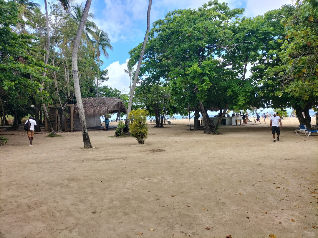 Italcruise-Bayahibe必去景点