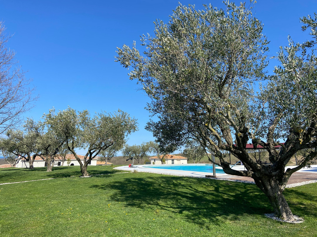 查图纳酒庄住宅酒店主图