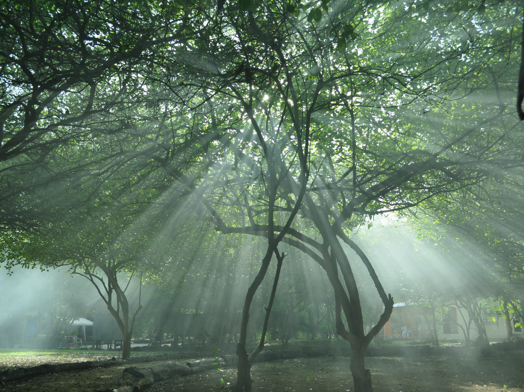 Riambel Vortex-Riambel必去景点