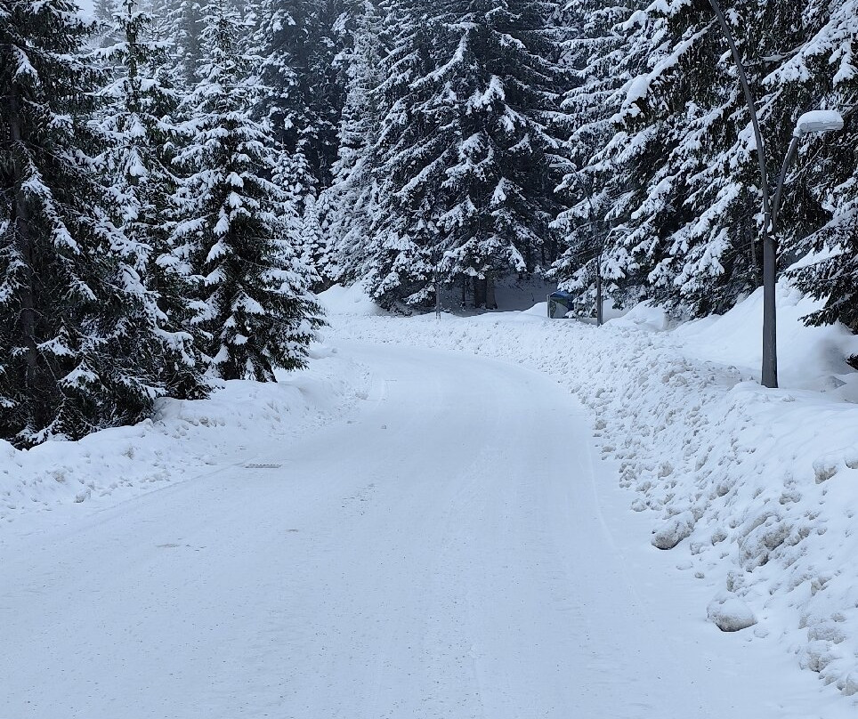 Durmitor National Park Visitor Centre-Zabljak必去景点