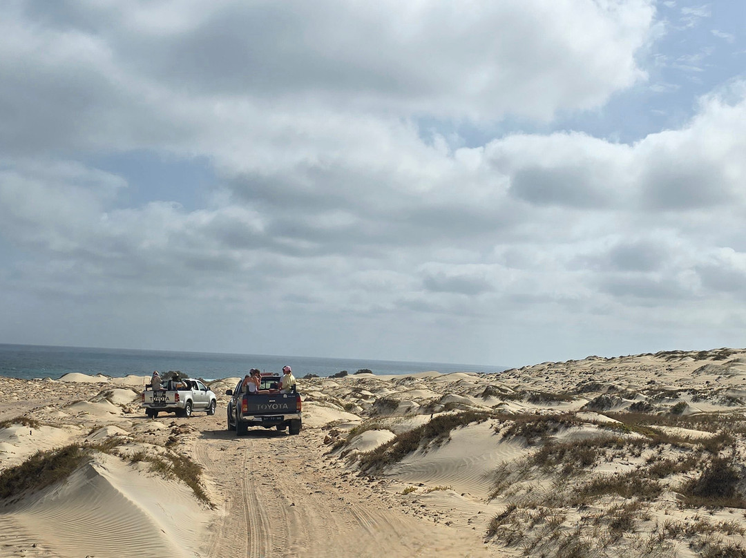 Boa Vista Tours-博阿维斯塔必去景点